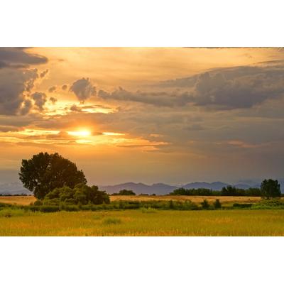 Fototapete PAPERMOON "Sonnenuntergangslandschaft", bunt, B:3m L:2,23m, Vlies, Tapeten