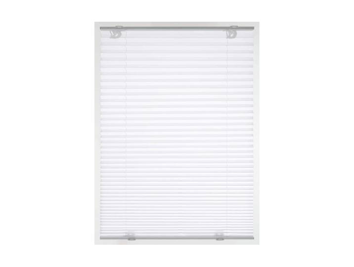 Plissee GARDINIA Dachfenster-Plissee mit Saugnäpfen , weiss (weiß), B:47,3cm H:100cm, Obermaterial: 100% Polyester, Plissees, Plissee