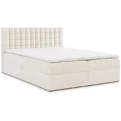 BOXBETT Toribo