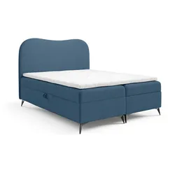 BOXBETT Blair Premium
