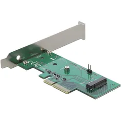 Delock PCI Express Karte, Storage Controller
