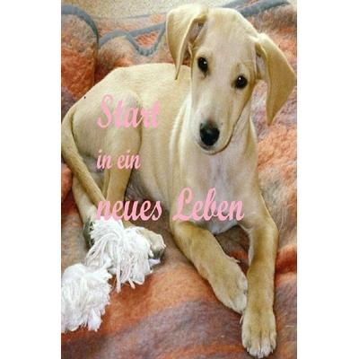 Start in ein neues Leben, Taschenbuch von Frank Kluckert, Epubli, 978-3-7575-0779-4