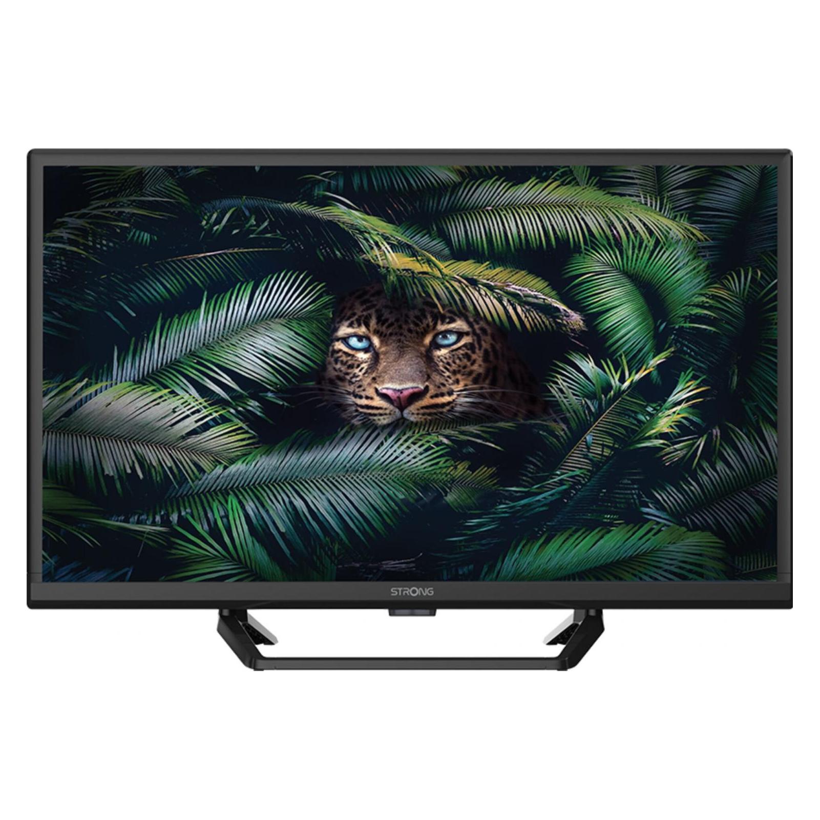 Strong SRT 24HE4023C (24", LCD, HD) (SRT24HE4023C)