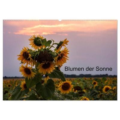 Blumen der Sonne (Wandkalender 2027 DIN A2 quer), CALVENDO Monatskalender