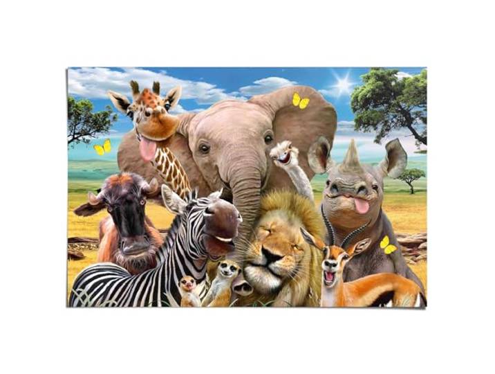 REINDERS Poster, Wildlife Funnies, Kinderzimmer, Poster, Wanddeko, Room Decor, Bilderdruckpapier, Mehrfarbig, 61 x 91,5