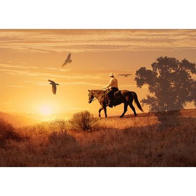 Fototapete PAPERMOON "Cowboy", bunt, B:2,5m L:1,86m, Vlies, Tapeten