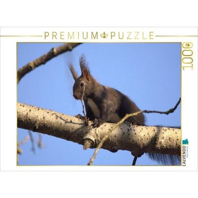 CALVENDO Puzzle Neugieriges Eichhörnchen | 1000 Teile Lege-Größe 64x48cm Foto-Puzzle für glückliche Stunden