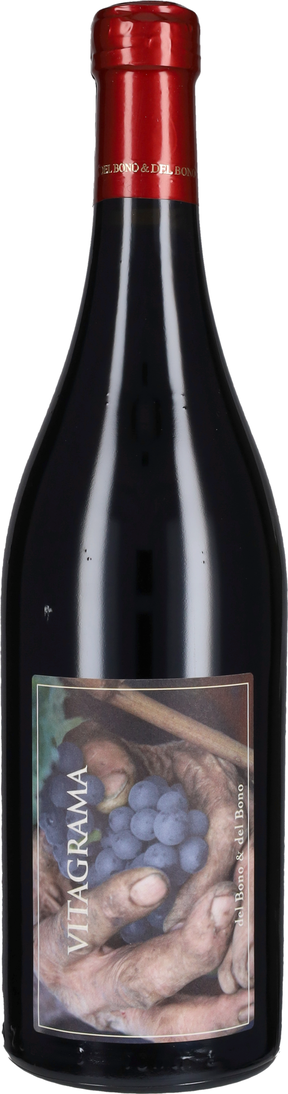 'Vitagrama' Casa Caterina 2009