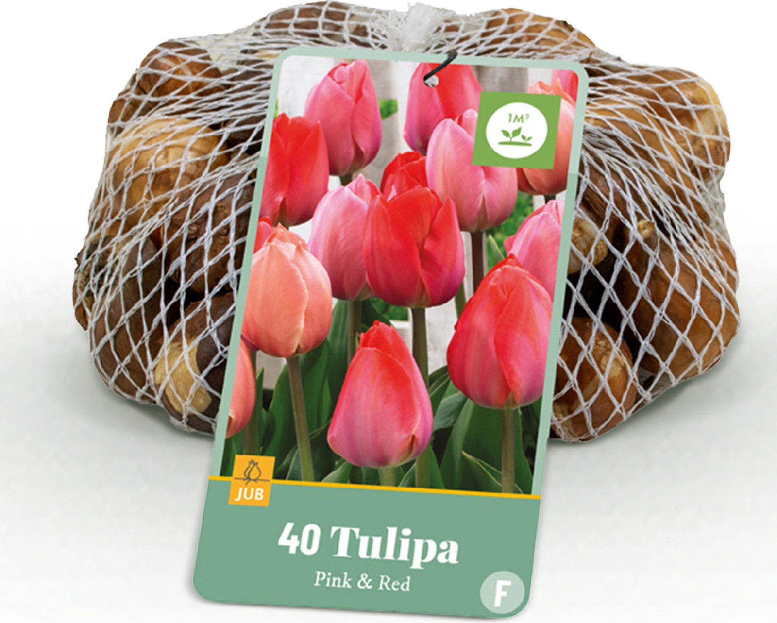 Multideal Bloembollen Tulp Pink en Red - Roze en Rood - 40 stuks - Bolmaat 10/12 - Tuinplant