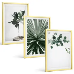 BILDER SET 3er Set - 40x60 cm Goldrahmen - Minimalismus mit grünen Pflanzen