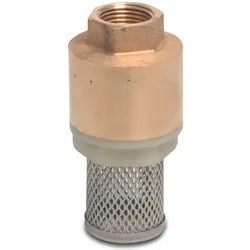 Profec, Ventil, Federbelastetes Fussventil Messing 1" Innengewinde 10bar DN25 Edelstahl 304