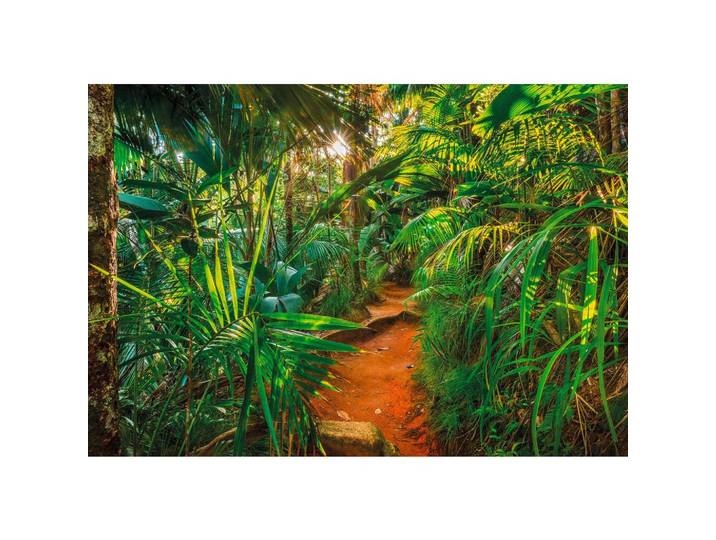 FOTOTAPETE Jungle Trail