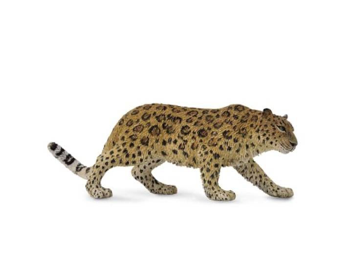 Collecta Amur Leopard -XL- 88708 (90188708)