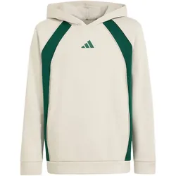 adidas Color Block Hoodie Kinder KZ0096 - wonder alumina/collegiate green 176