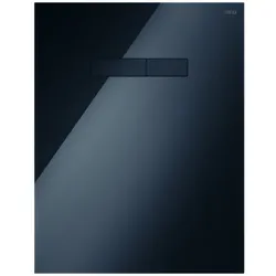 TECElux-Betätigungsplatte mit manueller Betätigung, Tasten chrom glänzend, 9650005, Ausführung: Glas schwarz, Tasten schwarz