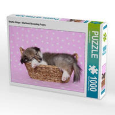 CALVENDO Puzzle Sheltie Welpe / Shetland Sheepdog Puppy 1000 Teile Lege-Größe 64 x 48 cm Foto-Puzzle Bild von Jeanette Hutfluss
