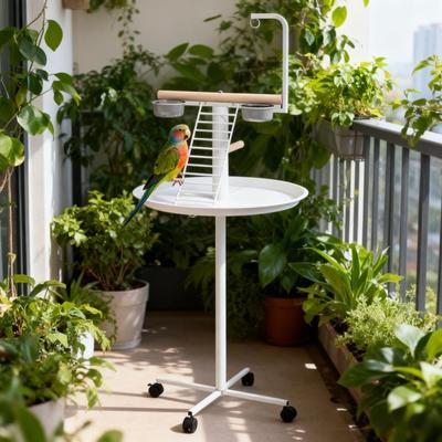 Kodotan sofa Easy to Move Bird Stand with Wheels, Feed Bowls, Round Tray,Bird Feeder Station