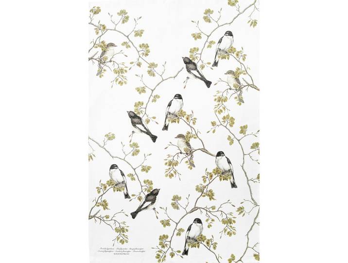 Geschirrtuch-Set Brown Flycatcher, Braun, 3-teilig, Vogel, 50x70 cm, Heimtextilien, Geschirrtücher & Schürzen, Geschirrtücher