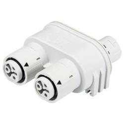 Wieland Electric 46.030.1253.0 Verteiler