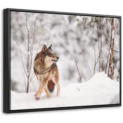 LEINWAND Bilder mit Rahmen - Wolf - Winter - Schnee - Natur - Tiere - 40x30