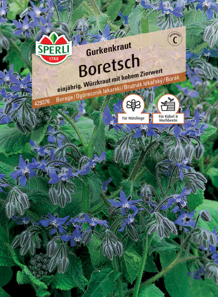 Sperli Boretsch Gurkenkraut