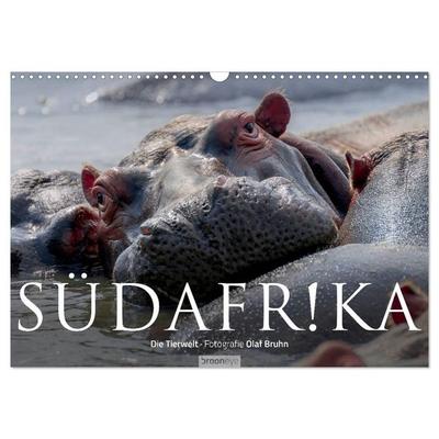 Südafrika - Die Tierwelt (Wandkalender 2026 DIN A3 quer), CALVENDO Monatskalender