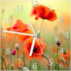Wallario Uhr 30 x 30 cm, schwarze Zeiger Mohnblumenblüten