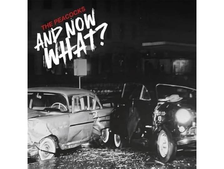 And Now What?(Digisleeve)