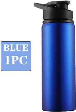 Inspire Essentials Metal Leakproof Water Bottle For Outdoor Sports And Travel h 600ml