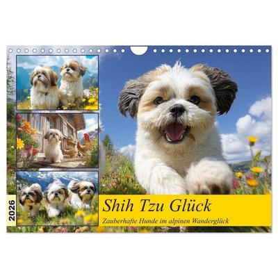 Shih Tzu Glück. Zauberhafte Hunde im alpinen Wanderglück (Wandkalender 2026 DIN A4 quer), CALVENDO Monatskalender