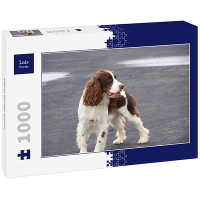 Lais Puzzle English Springer Spaniel 1000 Teile