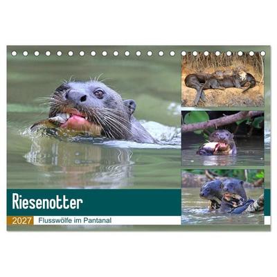 Riesenotter - Flusswölfe im Pantanal (Tischkalender 2027 DIN A5 quer), CALVENDO Monatskalender