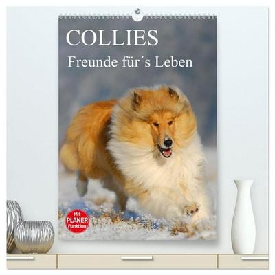 Collies - Freunde für´s Leben (hochwertiger Premium Wandkalender 2026 DIN A2 hoch), Kunstdruck in Hochglanz