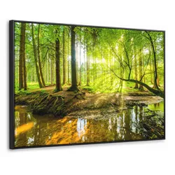 LEINWAND Bilder mit Rahmen - Wald - Landschaft - Wasser - Bäume - Sonne - Grün - Natur - 120x80