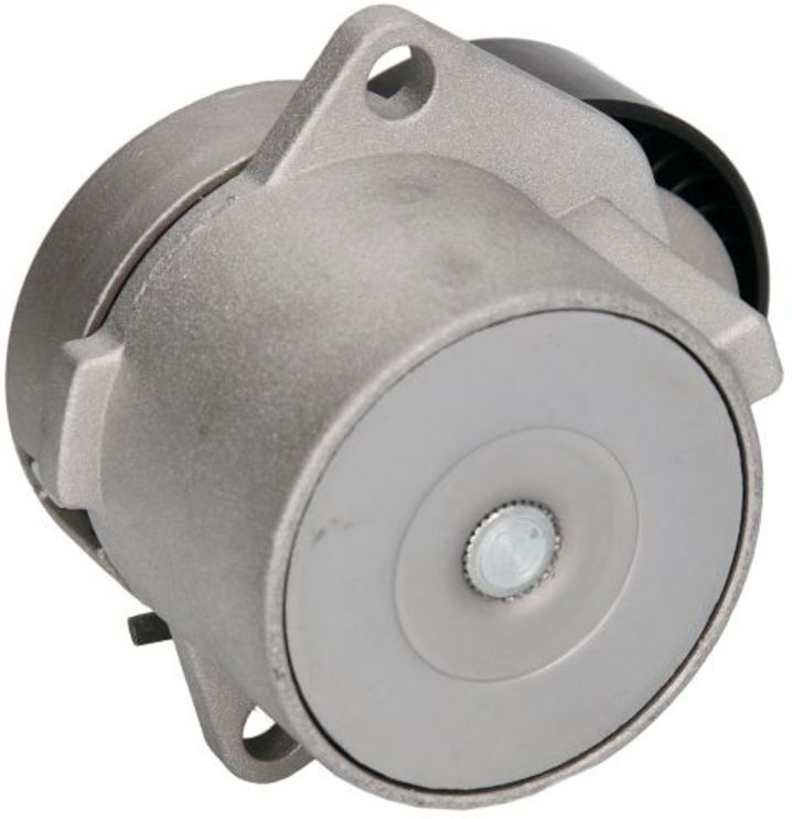 Spannarm, Keilrippenriemen BTA E3B0003BTA