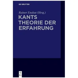 Kants Theorie der Erfahrung, Sachbücher