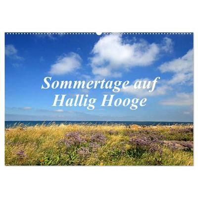 Sommertage auf Hallig Hooge (Wandkalender 2026 DIN A2 quer), CALVENDO Monatskalender