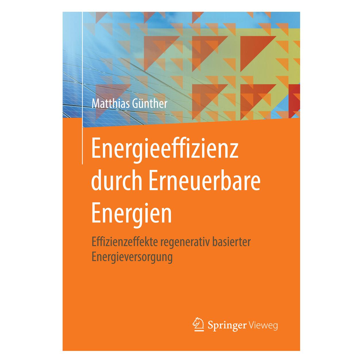 Gabler Energieeffizienz durch Erneuerbare Energien (Deutsch, Softcover, Matthias Günther) (8077668)