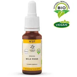 Bachbluete 37 Wild Ros Bio 20 ML