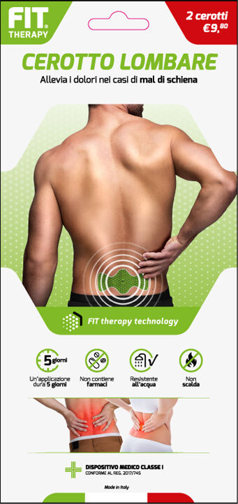 D.FENSTEC Srl FIT THERAPY CEROTTO LOMBARE, 2 PEZZI