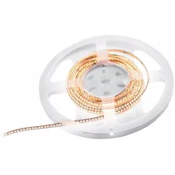 Eurolite, LED Streifen, LED Strip 1320 5m 2216 2700K 24V (Warmweiss, 500 cm, Indoor)