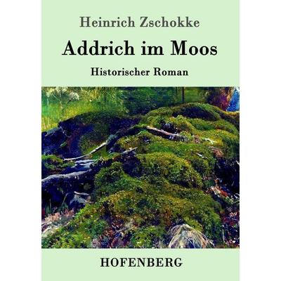 Addrich im Moos, Taschenbuch von Heinrich Zschokke, Hofenberg, 978-3-86199-038-3
