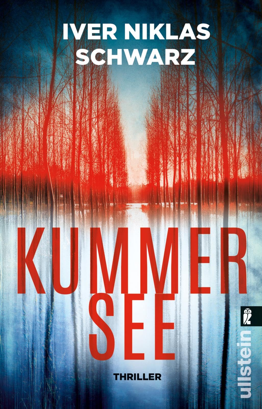 Schwarz, Iver Niklas - Kummersee: Thriller Thriller x Mystery x History - ein hochreaktives Spannungsdebüt - Preis vom 19.10.2026 19:33:35 h