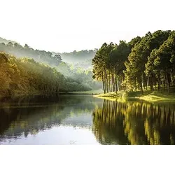 Bild WALD & SEE P (BHT 116x76x2 cm) - bunt - BHT 116x76x2 cm