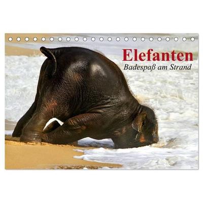 Elefanten. Badespaß am Strand (Tischkalender 2027 DIN A5 quer), CALVENDO Monatskalender