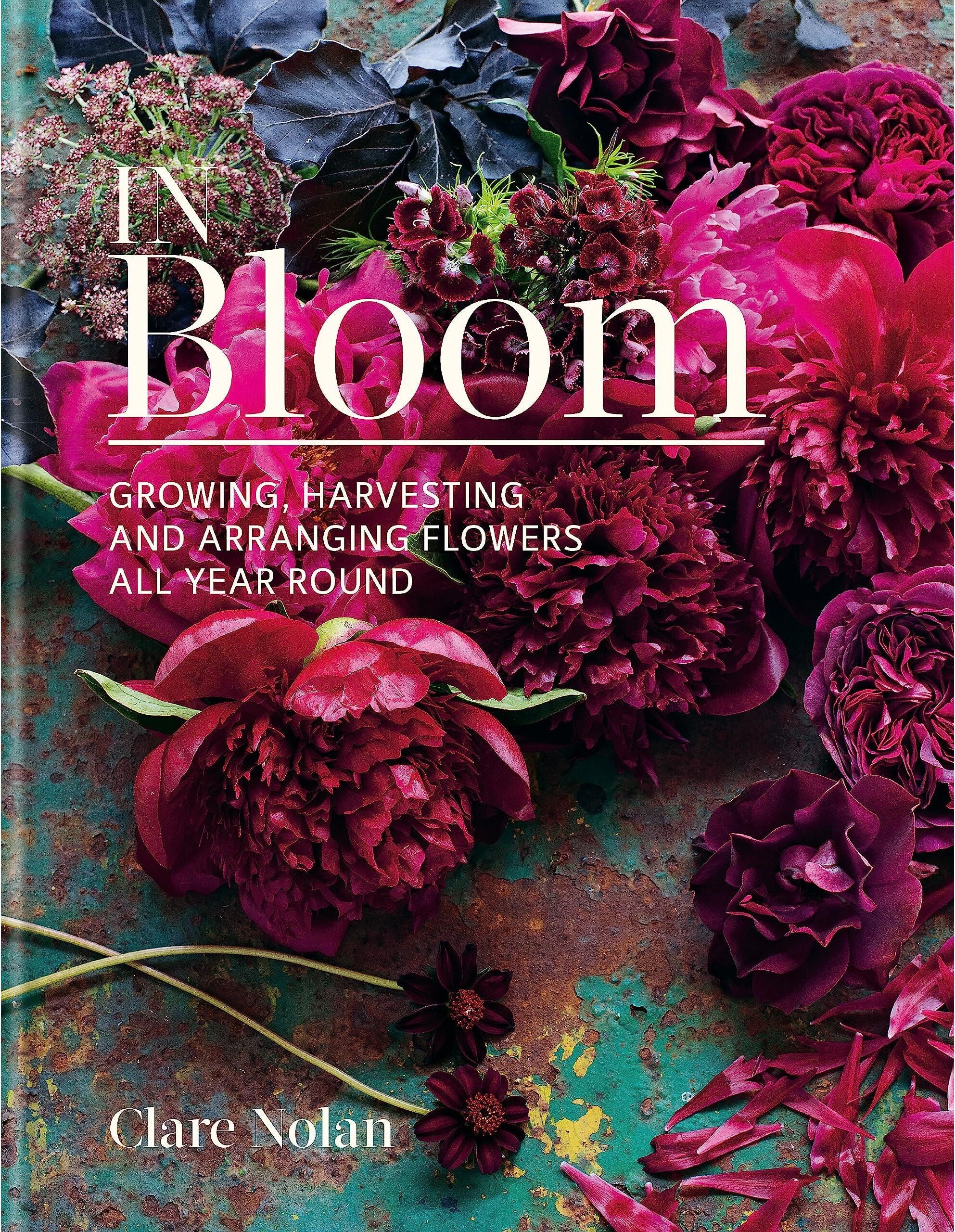 Kyle Books In Bloom: Growing, harvesting and arranging flowers all year round by Clare Nolan