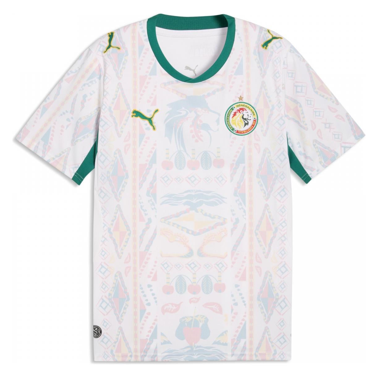 Puma FSF Home Jersey Replica (M) (783165)