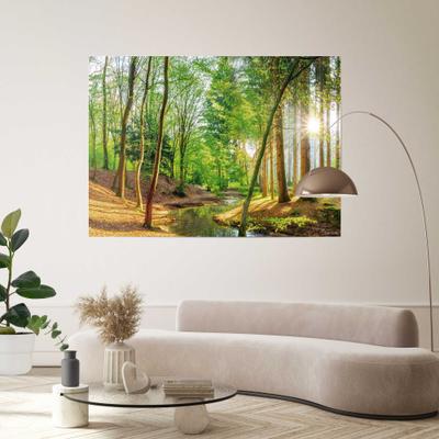 Poster REINDERS "Wald in der Sonne", grün (farbe bild(er): grün), Bilder, B/H/T: 140cm x 100cm x 0,1cm, Bäume, 1 Stk., Papier, Poster, Wohnzimmer - Grün - Papier - Wald - 140x100 cm, B:140cm H:100cm T:0,1cm