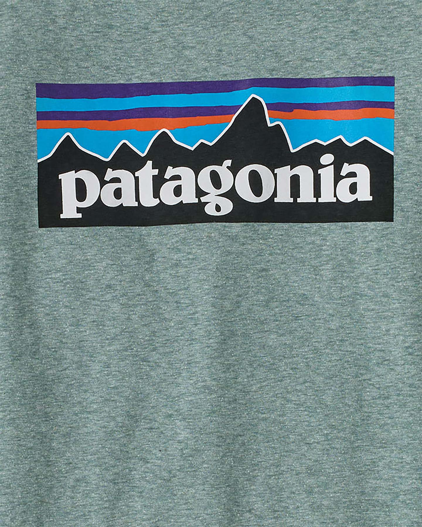Patagonia P-6 Logo Responsibili-tee W - T-shirt - Donna - Blu S