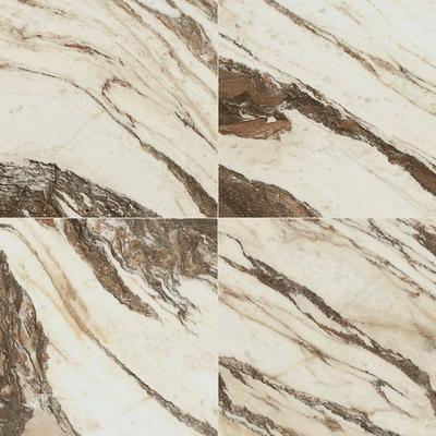 The Tile Life Windsor 12x12 Matte Porcelain Floor and Wall Tile